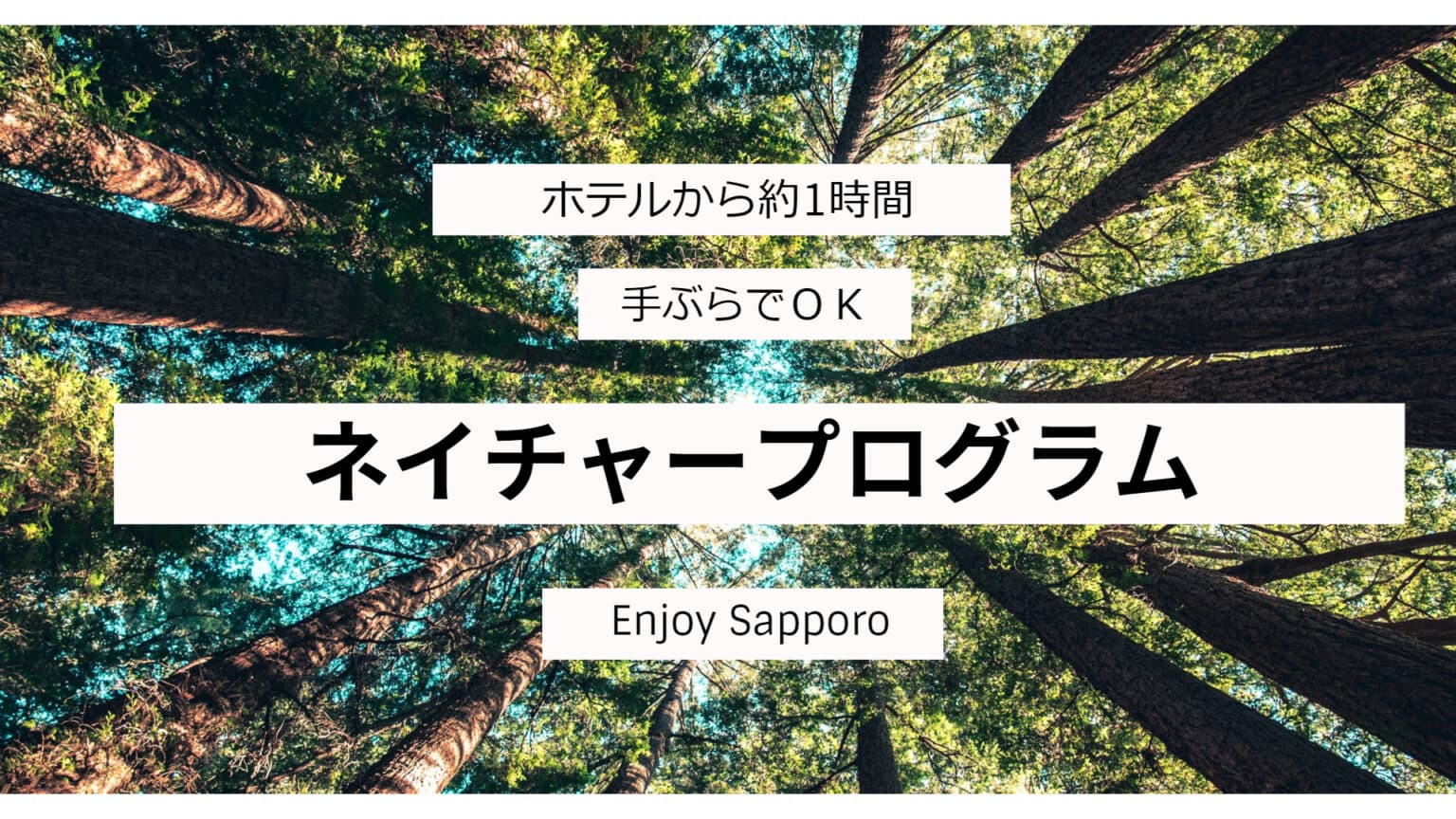 札幌の自然を満喫！ネイチャープログラム