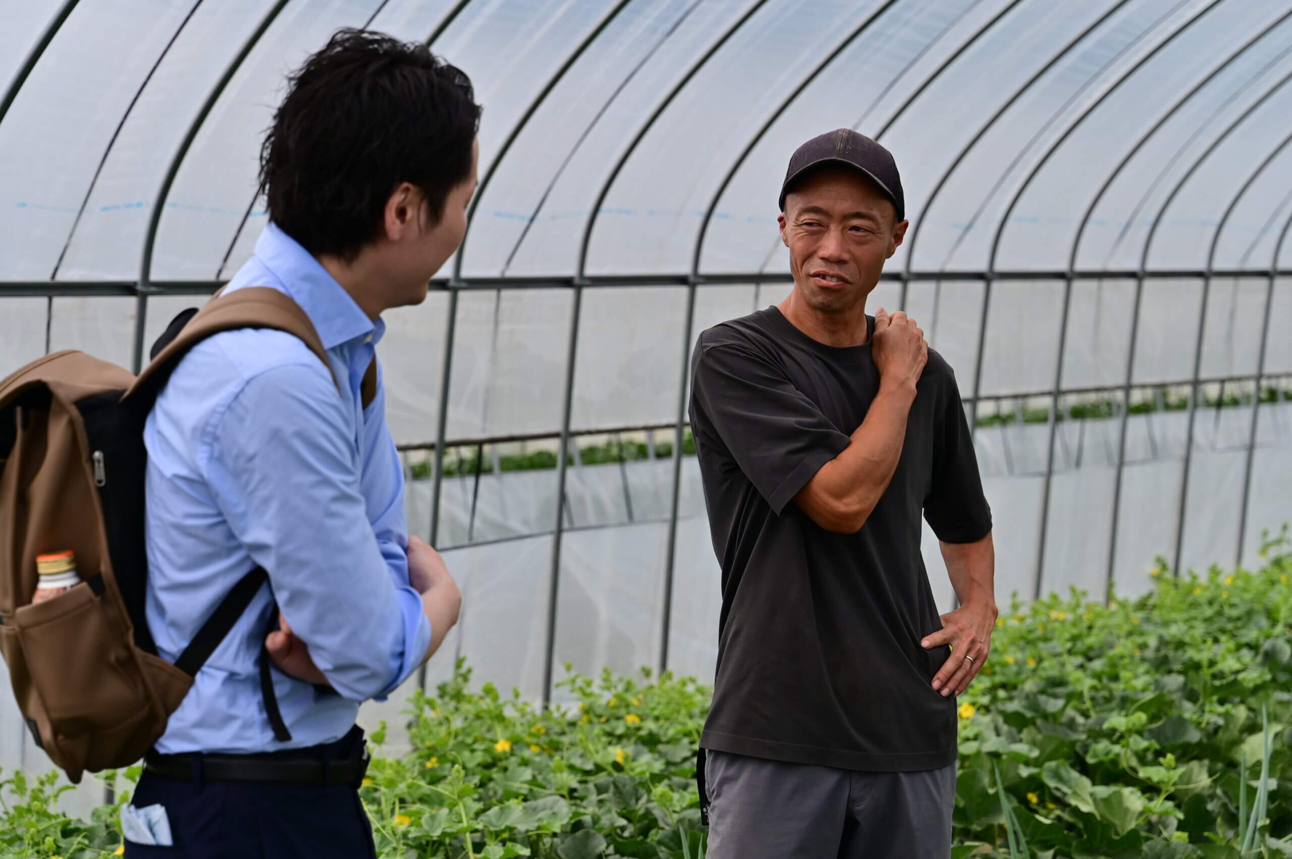 “昔ながら”に理由がある。メロンへの信念