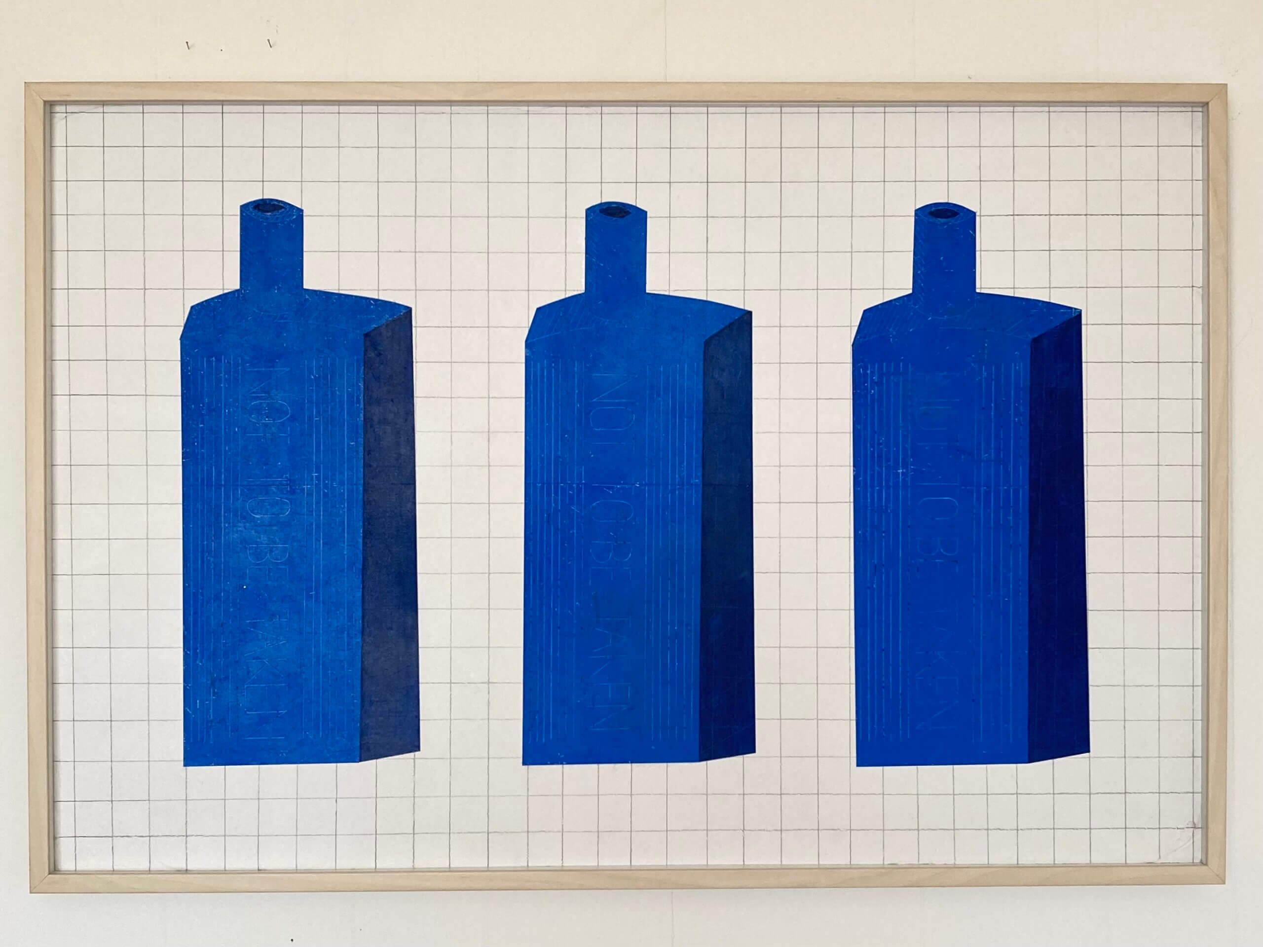 ■オオニシアツミ