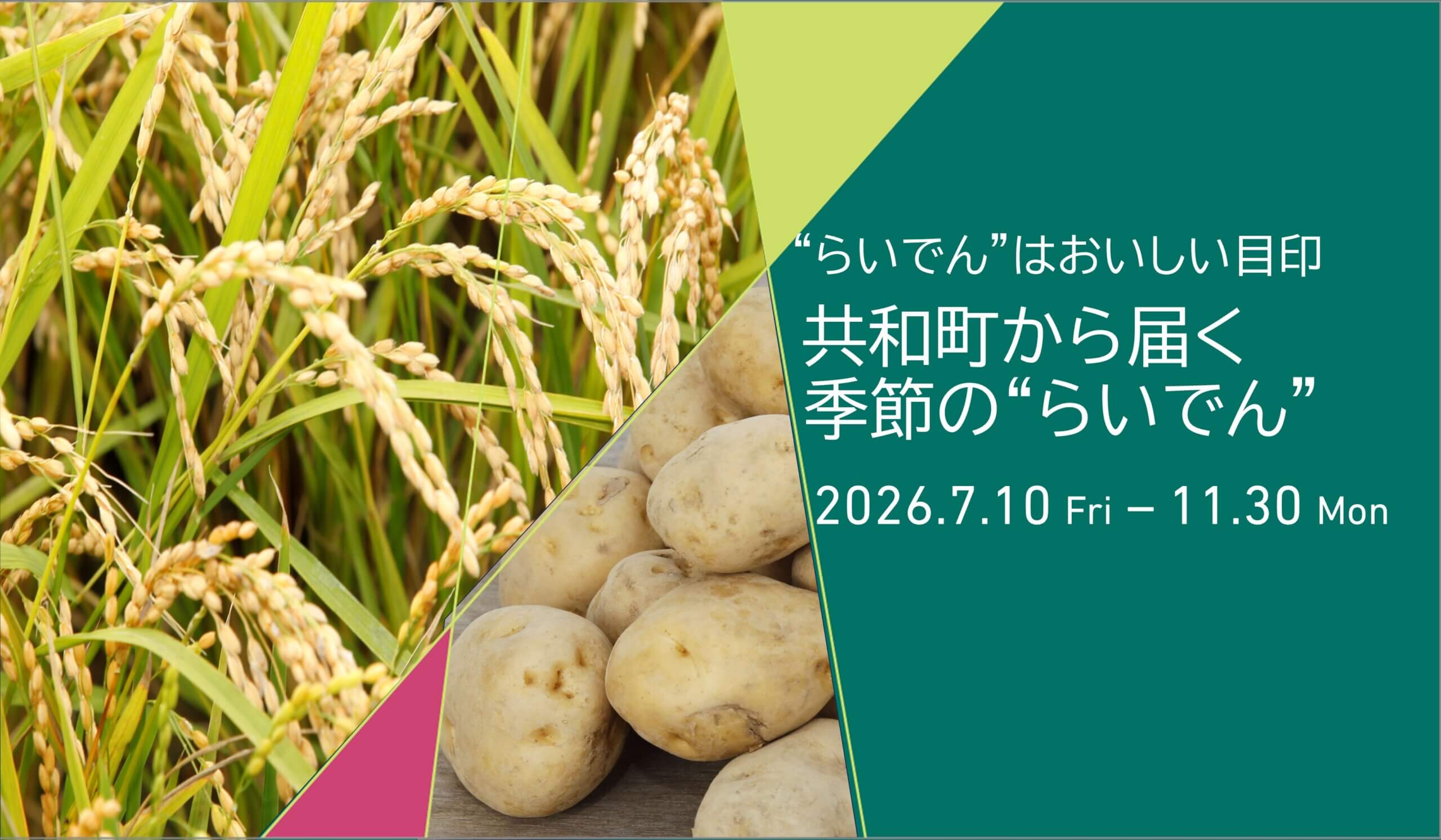 “らいでん”はおいしい目印 　共和町から届く季節の“らいでん”