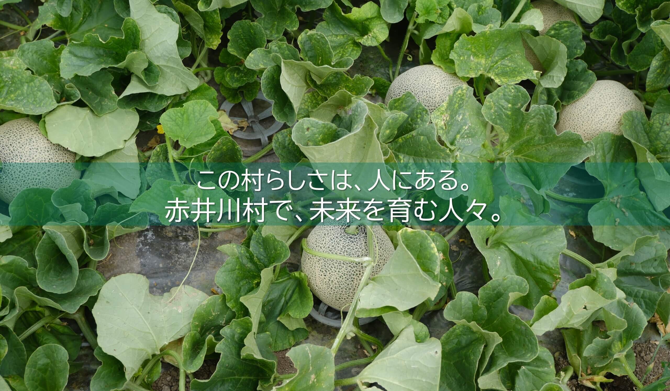 この村らしさは、人にある。　赤井川村で、未来を育む人々