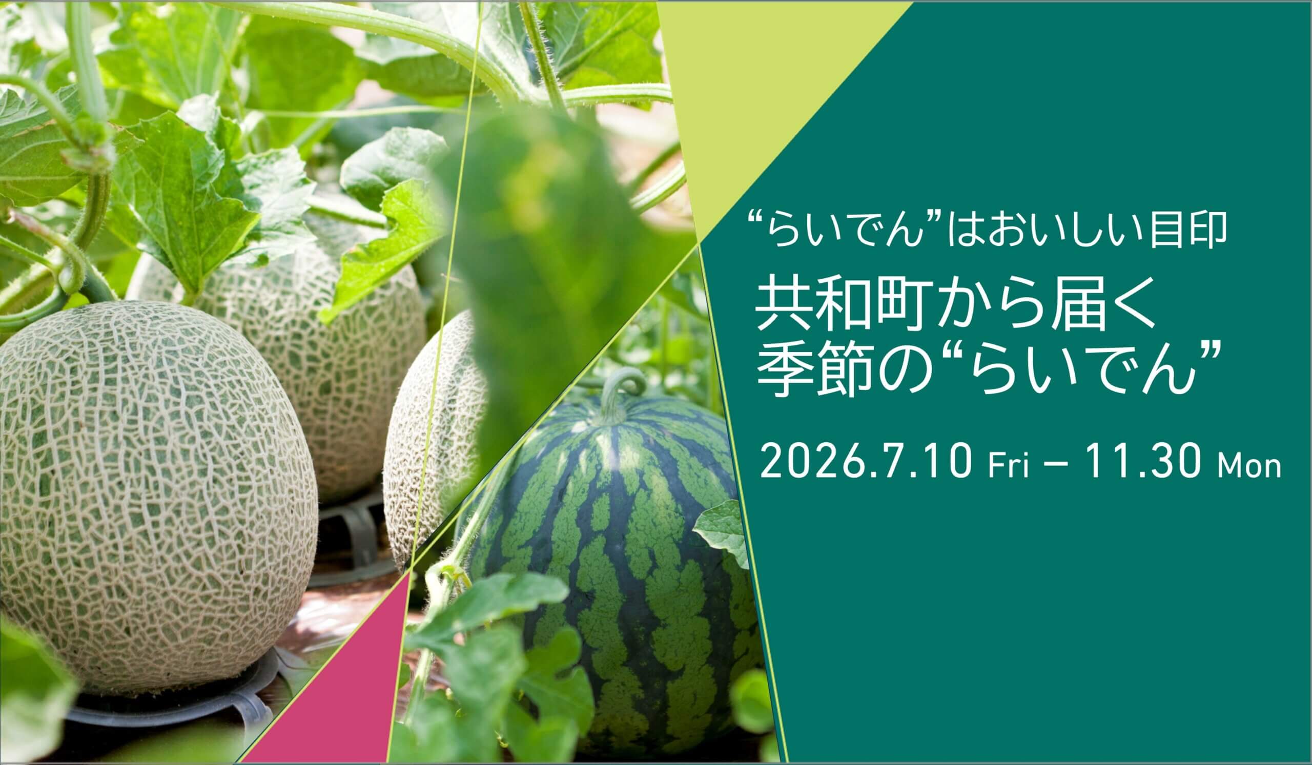 “らいでん”はおいしい目印 　共和町から届く季節の“らいでん”